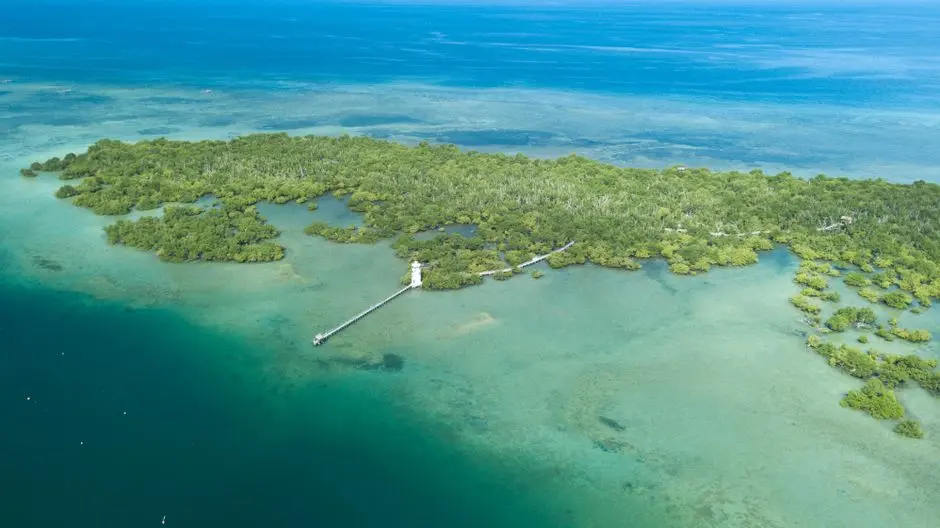 teluk karang hijau Pulausimuk